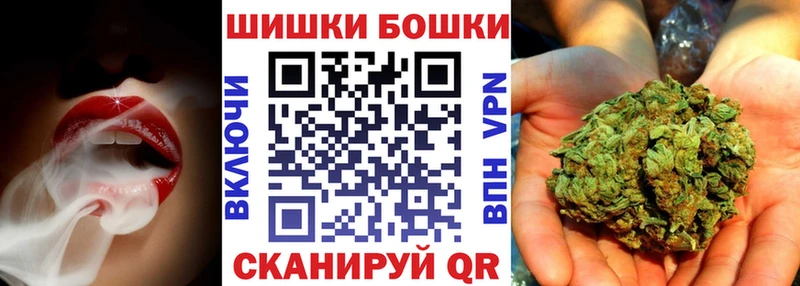 Бошки Шишки планчик Полтавская